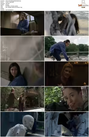 The Walking Dead S07 1080p BluRay AV1-XILEF