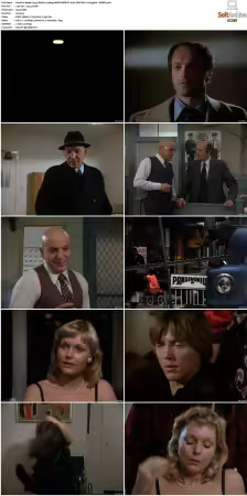 Kojak 1973 S04 1080p AMZN WEB-DL H265 SDR DDP 2.0 HONE