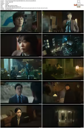 Nine Puzzles S01 1080p DSNP WEB-DL DD+5 1 Atmos H264-playWEB