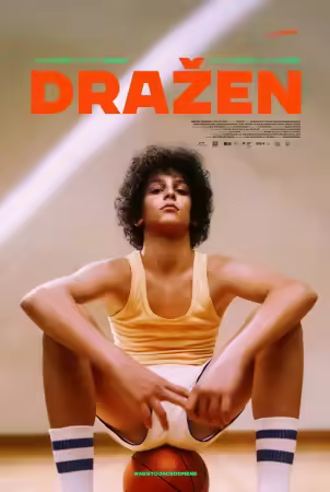 Drazen 2024 1080p WEBRip x265 10bit AAC5.1-WORLD