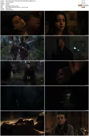 The Last of Us S02 MULTI 1080p WEB X264-HiggsBoson