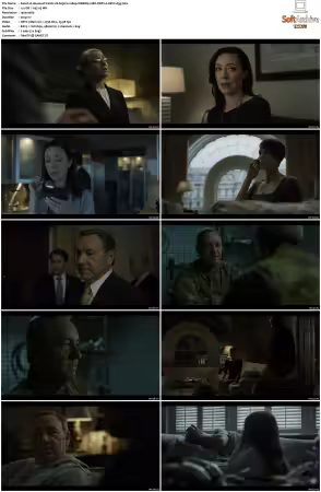 House of Cards S03 1080p WEBRip 10Bit DDP2.0 HEVC-d3g