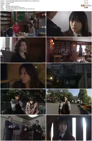BOYS OVER FLOWERS S01 1080p VIKI WEB-DL AAC2 0 H 264-MrHulk