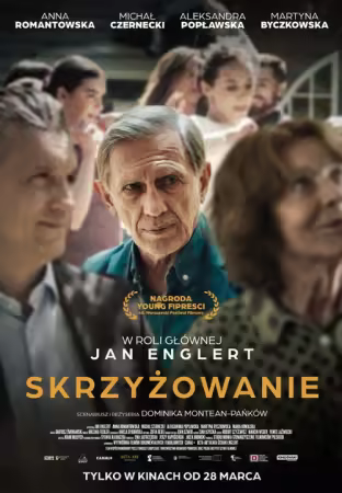 Skrzyzowanie 2024 PL 1080p WEB-DL x264-FOX