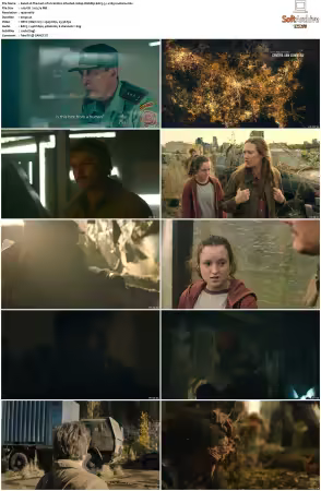 The Last of Us S01 1080p WebRip EAC3 5.1 x265-Lootera