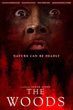 The Woods 2024 1080p WEB-DL DDP2.0 H264-BobDobbs