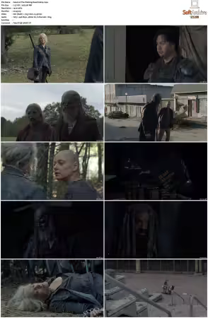 The Walking Dead S10 1080p BluRay AV1-XILEF