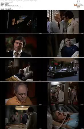 Kojak 1973 S02 1080p AMZN WEB-DL H265 SDR DDP 2 0 HONE