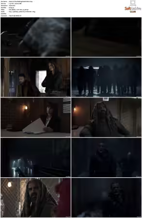 The Walking Dead S11 1080p BluRay AV1-XILEF