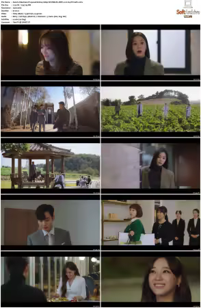 Business Proposal S01 1080p NF WEB-DL DDP2 0 H264-PrimeFix