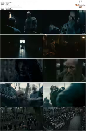 Vikings S01 S06 1080p WEBRip 10Bit DDP2 0 HEVC-d3g