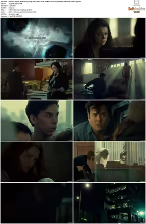 Orphan Black S02 1080p WEBRip 10Bit DDP2.0 HEVC-d3g