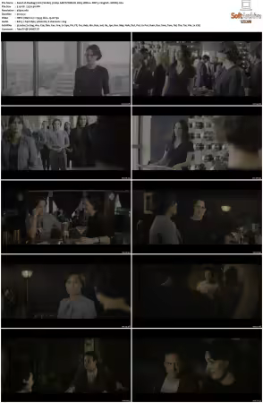 Fleabag 2016 S02 2160p AMZN WEB-DL H265 HDR10+ DDP 5.1 HONE