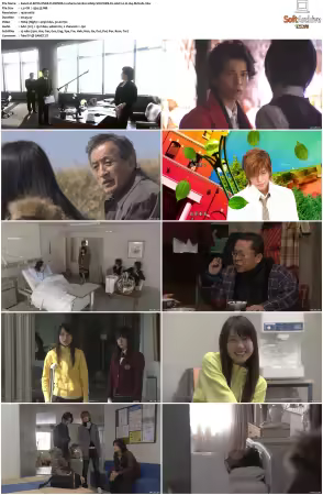 BOYS OVER FLOWERS S02 1080p VIKI WEB-DL AAC2 0 H 264-MrHulk