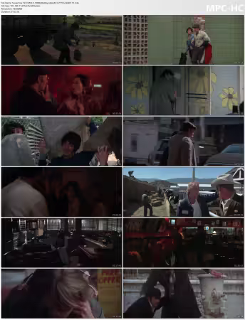 Scarecrow 1973 MULTi 1080p BluRay x264 AC3-PTTrG