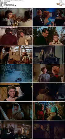 All That Heaven Allows 1955 1080p BluRay x264-HD4U