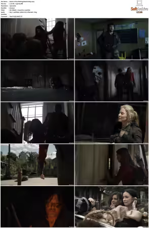 The Walking Dead S11 1080p BluRay AV1-XILEF