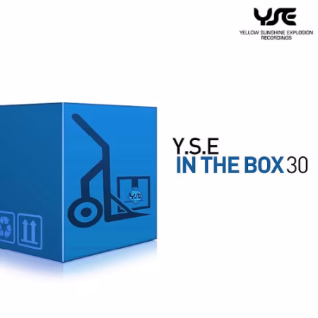 VA - Y.S.E in The Box Vol.30 (2025)