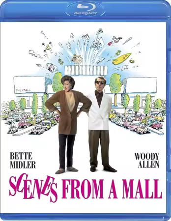 Scenes From A Mall 1991 1080p BluRay x264-SEMTEX