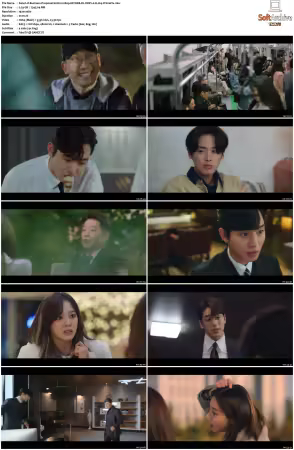 Business Proposal S01 1080p NF WEB-DL DDP2 0 H264-PrimeFix