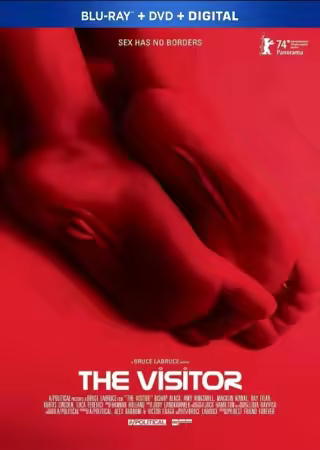 The Visitor 2024 720p BluRay x264 AAC-LAMA