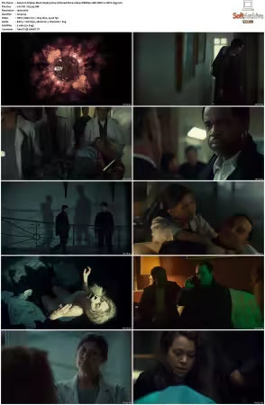 Orphan Black S05 1080p WEBRip 10Bit DDP2.0 HEVC-d3g