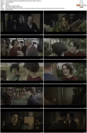 Fleabag 2016 S02 2160p AMZN WEB-DL H265 HDR10+ DDP 5.1 HONE