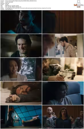 3% ak3 Percent S02 2160p NF WEB-DL DDP5 1 SDR HEVC-SiC