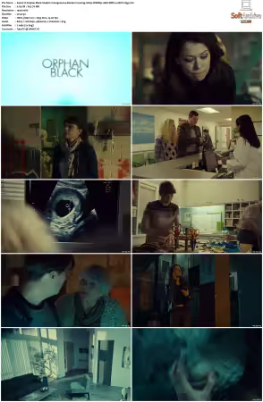 Orphan Black S04 1080p WEBRip 10Bit DDP2.0 HEVC-d3g