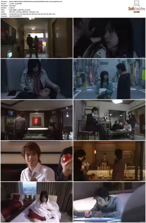 BOYS OVER FLOWERS S01 1080p VIKI WEB-DL AAC2 0 H 264-MrHulk