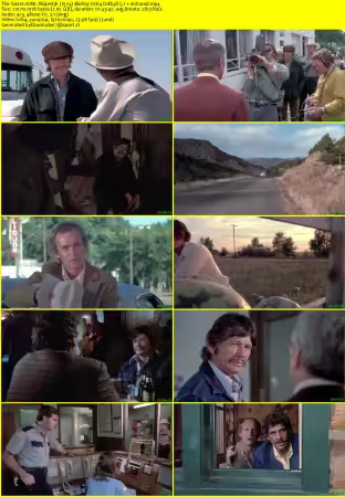 Mr. Majestyk 1974 BluRay H264 DolbyD 5.1 nickarad