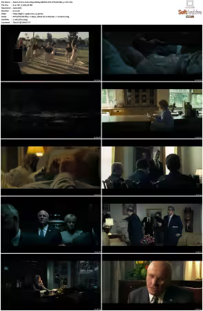 Vice 2018 1080p BluRay REMUX AVC DTS-HD MA 5.1-FGT