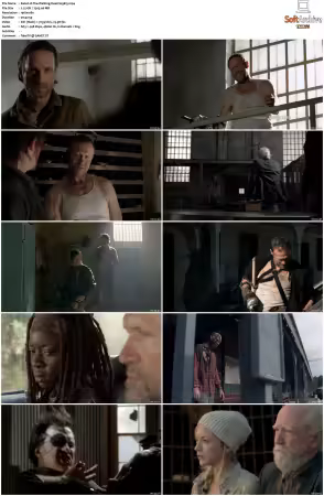 The Walking Dead S03 1080p BluRay AV1-XILEF
