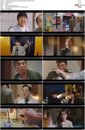 Business Proposal S01 1080p NF WEB-DL DDP2 0 H264-PrimeFix