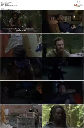 The Walking Dead S09 1080p BluRay AV1-XILEF