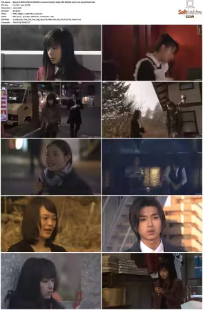 BOYS OVER FLOWERS S02 1080p VIKI WEB-DL AAC2 0 H 264-MrHulk