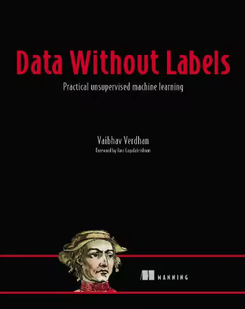 Data Without Labels: Master unsupervised learning with deep learning and generative AI By Vaibhav Verdhan