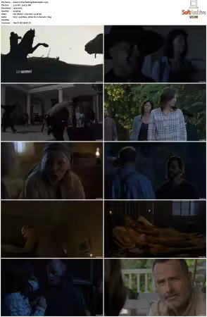 The Walking Dead S09 1080p BluRay AV1-XILEF