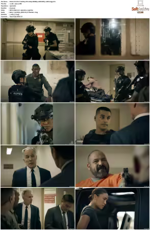 S.W A T S08 1080p AWEBRip 10Bit DDP5 1 HEVC-d3g
