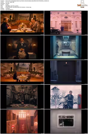 The Grand Budapest Hotel 2014 Criterion Collection BluRay 1080p REMUX AVC DTS-HD MA 5.1-LEGi0N