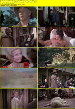 From Noon Till Three 1976 BluRay H264 DolbyD 5.1 nickarad