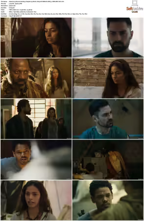 3% ak3 Percent S02 2160p NF WEB-DL DDP5 1 SDR HEVC-SiC