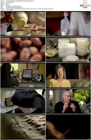 Cooked S01 2160p Netflix WEB-DL DD5.1 HEVC-TrollUHD