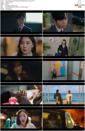 Business Proposal S01 1080p NF WEB-DL DDP2 0 H264-PrimeFix