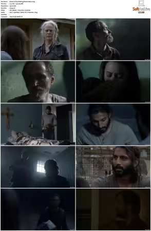 The Walking Dead S10 1080p BluRay AV1-XILEF