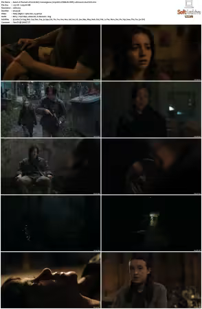 The Last of Us S02 720p HULU WEB-DL DDP5 1 Atmos H264-FLUX