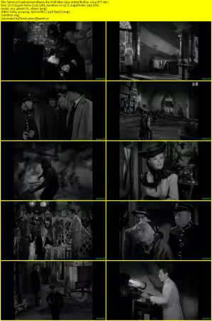 Frankenstein Meets the Wolf Man 1943 1080p BluRay x264-OFT