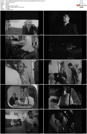 Night Of The Living Dead 1968 Criterion Collection 1080p BluRay REMUX AVC LPCM 1.0-4K4U