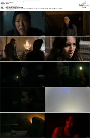 The Last of Us S02 720p AMZN WEB-DL DDP5 1 Atmos H264-FLUX