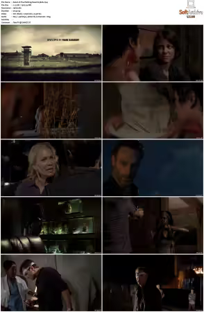 The Walking Dead S03 1080p BluRay AV1-XILEF